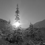 DSCN0077
