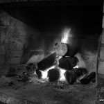 DSCN0117