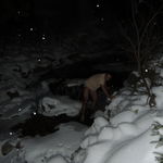 DSCN0145