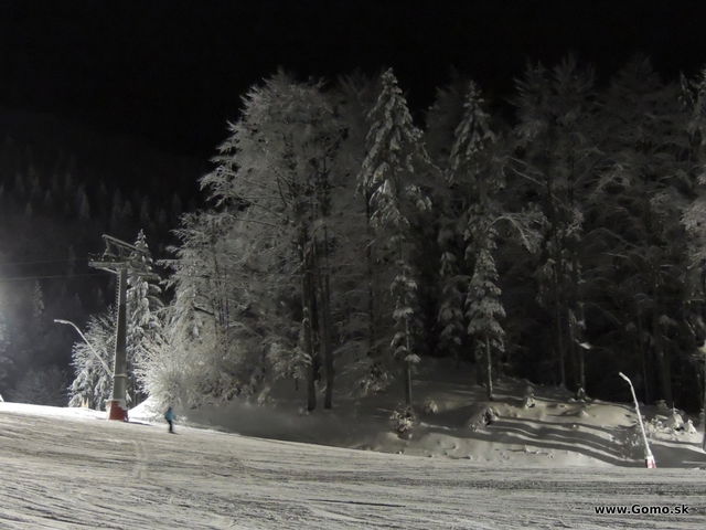 DSCN0517
