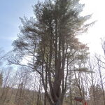 DSCN1360