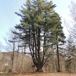 DSCN1363