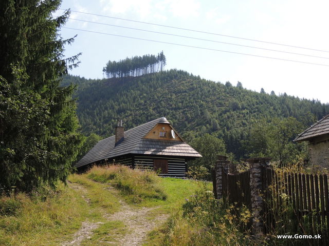 DSCN4619