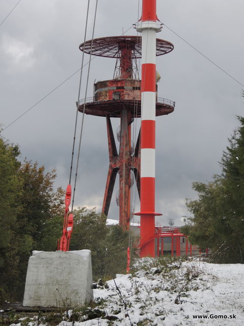 DSCN6406