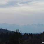 DSCN6753