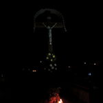 DSCN6768