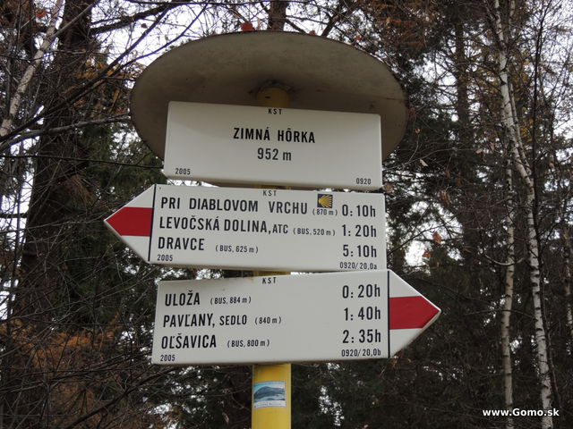 DSCN6779