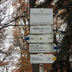 DSCN6795