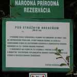 DSCN4949