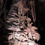 DSCN5003