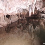 DSCN5011