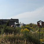 DSCN5049
