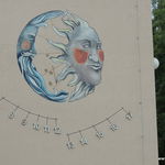 DSCN5118