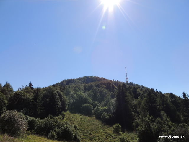 DSCN5221