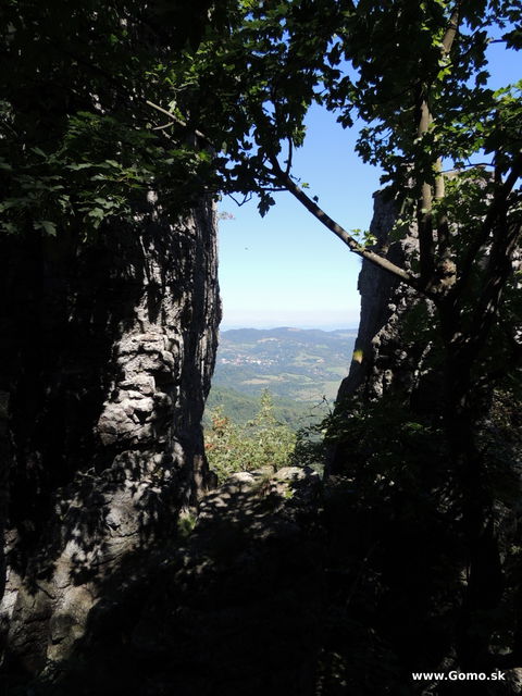 DSCN5223