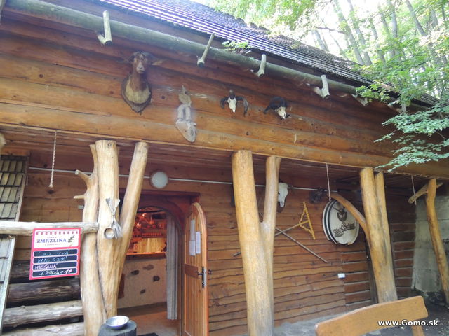 DSCN5277