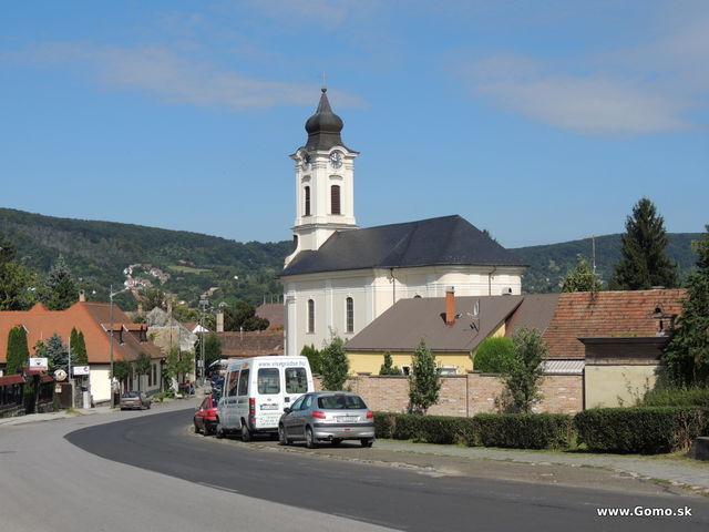 DSCN5454