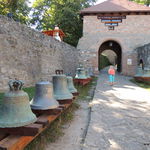 DSCN5515