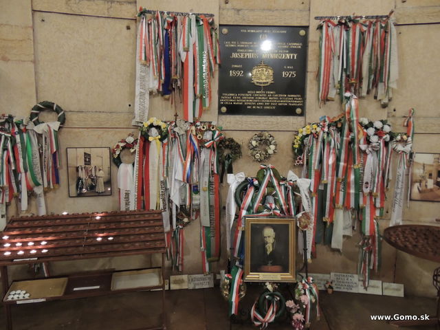 DSCN5536