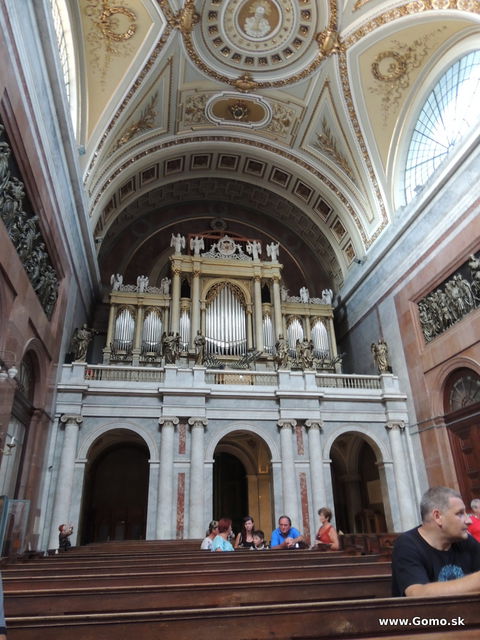 DSCN5583