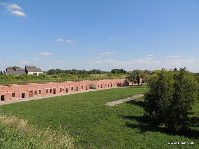 DSCN5621