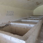 DSCN5631