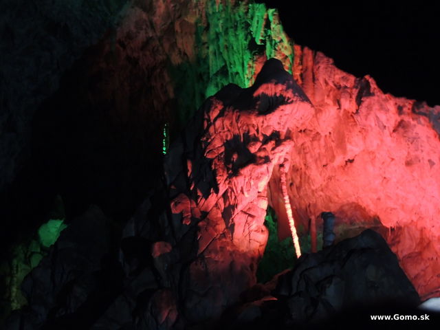 DSCN5764