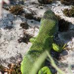 IMG_9173