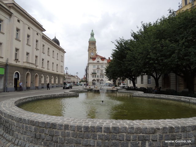 DSCN5865