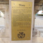DSCN5873