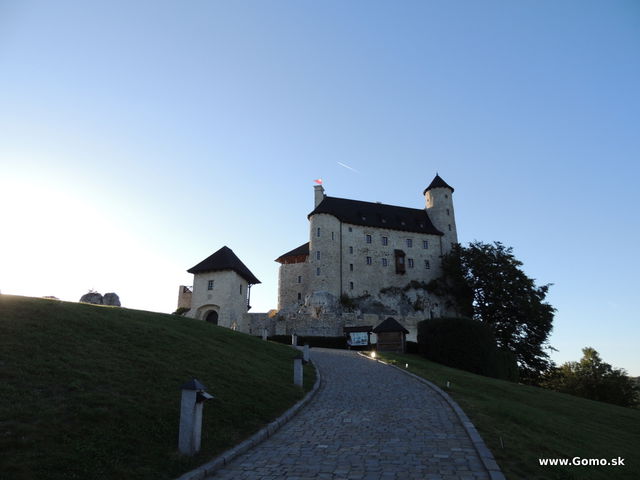DSCN5895