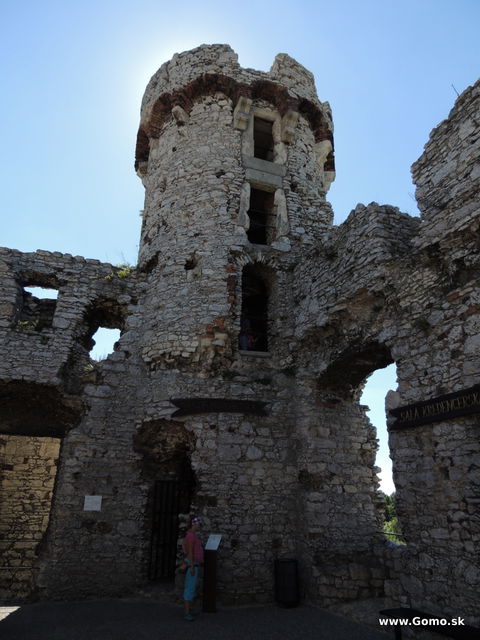 DSCN5949
