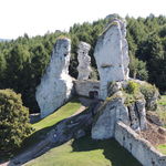 DSCN5955