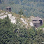 DSCN5957