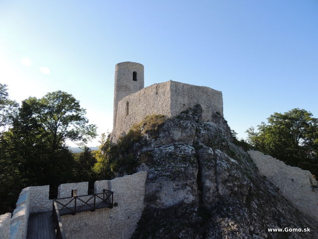 DSCN6007