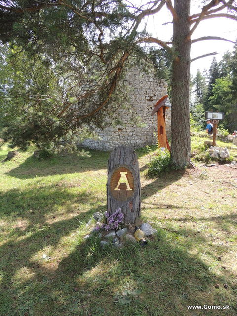 DSCN4395