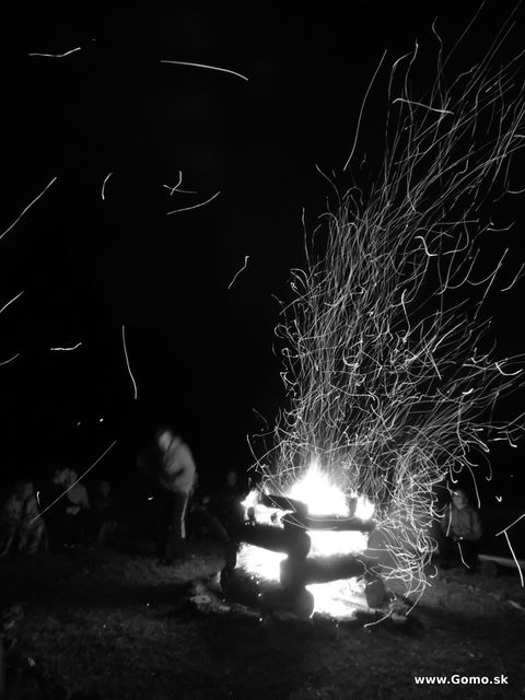 DSCN4467