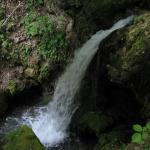 IMG_9284