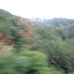 IMG_0505