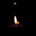 IMG_0527