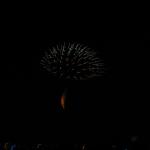 IMG_0874