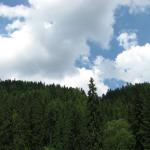 IMG_2075