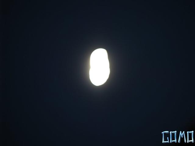 IMG_3228