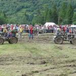 MVI_3894