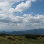 IMG_4214