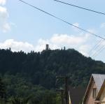 IMG_4947