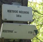 IMG_5208