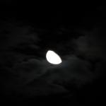 IMG_6259