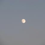 IMG_6750
