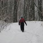 IMG_7676